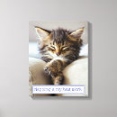 Search for joke art Kitten