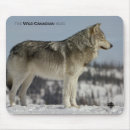 Search for canadian mousepads Nature