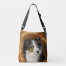 Search for bordered image bags Border collie