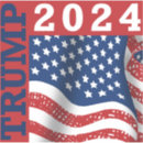 Search for out campaign stickers America first