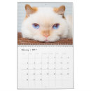Search for daddy office supplies Animals