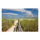 Search for beach fence posters Nature