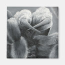 Search for itsy bitsy spider Halloween