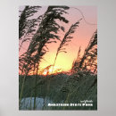 Search for sea oat art Florida