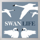 Search for ornithologist art Wildlife