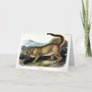 Search for puma cards Panther