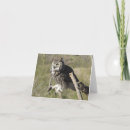 Search for large image cards Nature