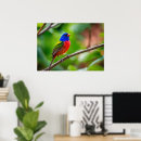 Search for bunting posters Nature
