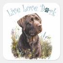 Search for chocolate lab stickers Puppy