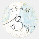 Search for he or she gender reveal crafts party Boy or girl