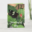 Search for thinking cards invites Beautiful