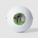 Search for cat golf balls Dog lover