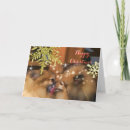 Search for kiss christmas cards Snowflakes