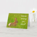 Search for cancer cards Support