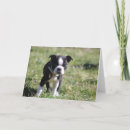 Search for terrier puppy postcards Baby