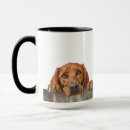 Search for coonhound dog mugs Pet