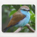 Search for pretty bird mousepads Animals