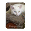 Search for kitty lover magnets Blue