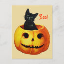 Search for clapsaddle postcards Black cat