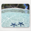 Search for remote mousepads Sea
