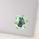 Search for irish terrier stickers Shamrock