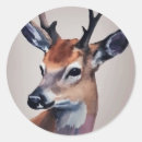 Search for deer painting stickers Antlers