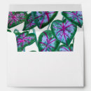 Search for leaf envelopes Pattern