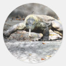 Search for komodo dragon stickers Reptile