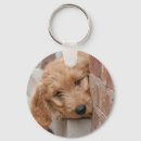 Search for goldendoodle key rings Animal