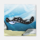 Search for rays magnets Illustration