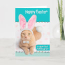 Search for happy granddaughter easter cards Bunny ears