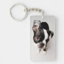 Search for boston terrier stuff key rings Colour image
