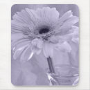 Search for gerber daisy electronics Daisies