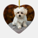 Search for cuddly christmas tree decorations Dog