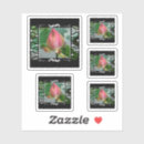 Search for zen garden stickers Nature