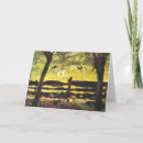 Search for willow tree cards Trees