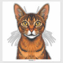 Search for close up labels Face