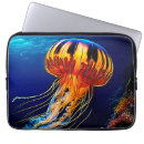 Search for marine cases Coral reef