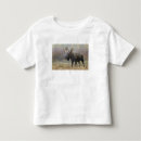 Search for aspen tree tshirts National park