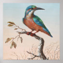 Search for doves art Botanical