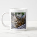 Search for baby sleeping mugs Pet