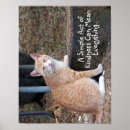 Search for acts posters Cat