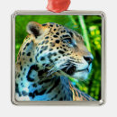Search for jaguar christmas tree decorations Wildlife