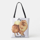 Search for pomeranian accessories Zwergspitz