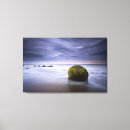 Search for seashell pictures canvas prints Nautical