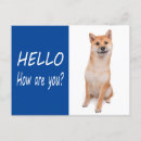 Search for shiba inu cards Dog
