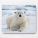 Search for pack mousepads Arctic