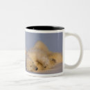 Search for sow mugs Cub