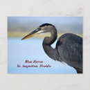 Search for beak postcards Wildlife