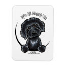 Search for funny mother rectangular magnets Black